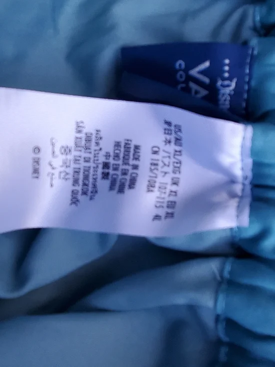 Disney Teal 70th Scenic Print Circle Skirt - Picture 9 of 9